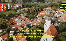 Ambiente Hotel Strehla